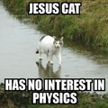 Jesus, cat