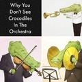Memes de música no 100 por eso no hay cocodrilos en una orquesta