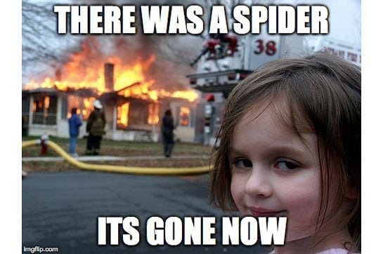 The Spider.... - meme