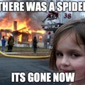 The Spider....