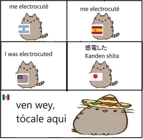electrocutasión - meme