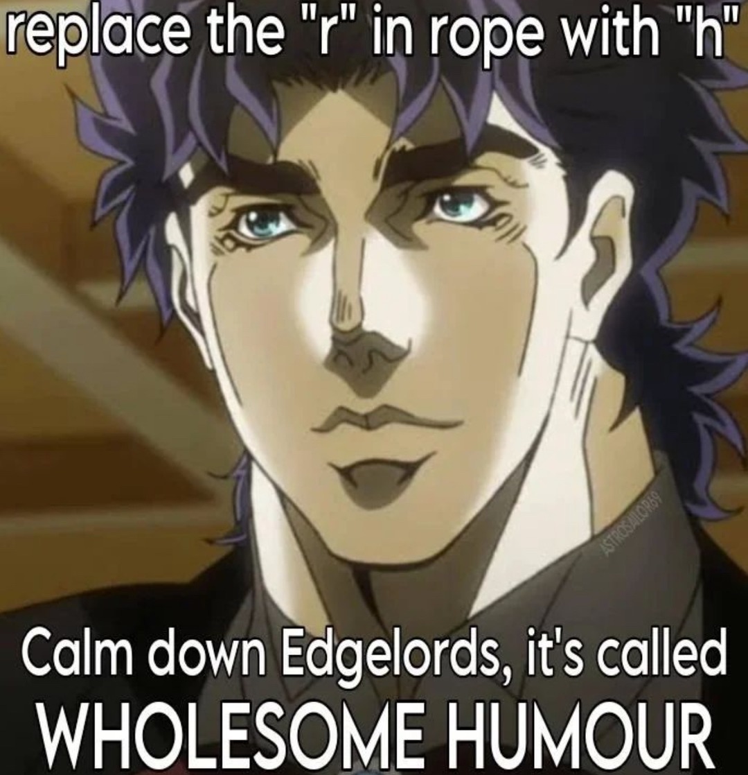 wholesome humor - meme