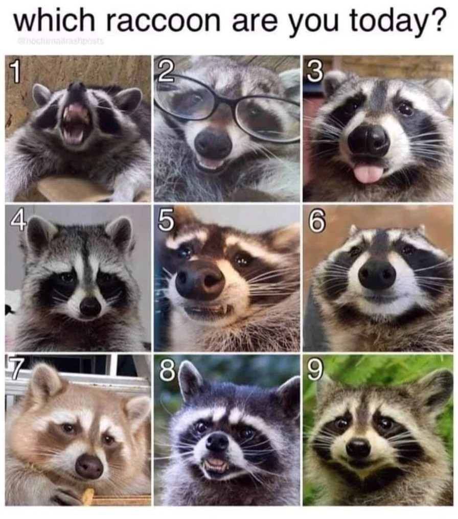 Well? Which one are you? - meme