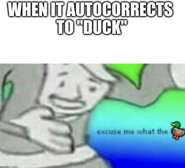 Duck - meme