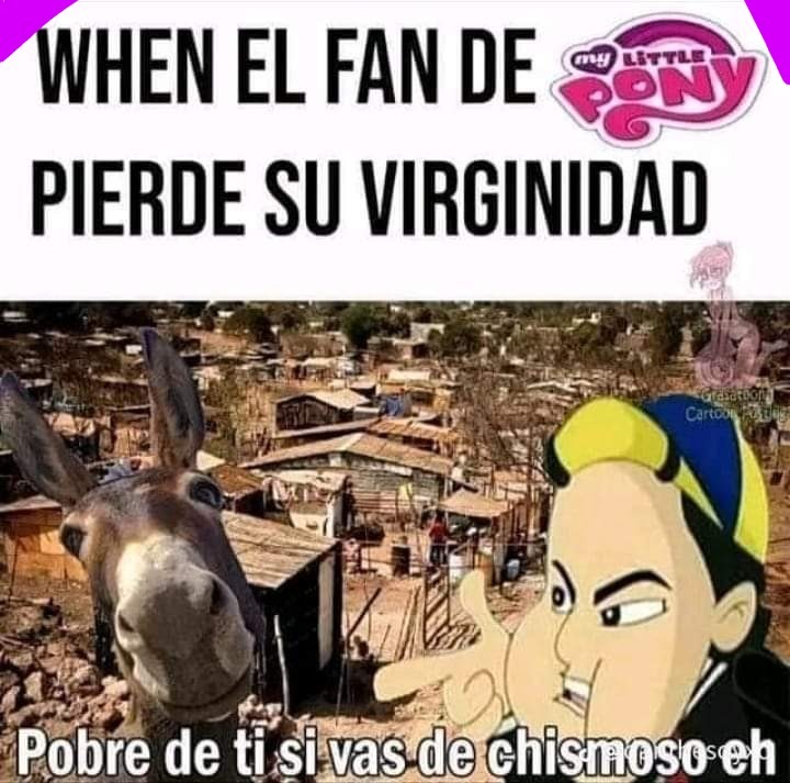 Burro!!! - Meme by XxPauloxX :) Memedroid