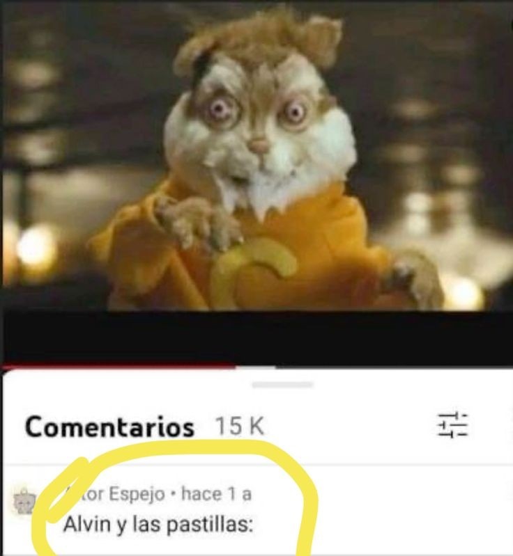 Xd - meme