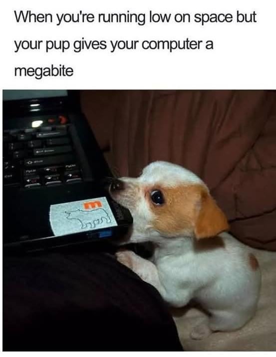 Megabite - meme