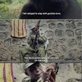 Le gorilla