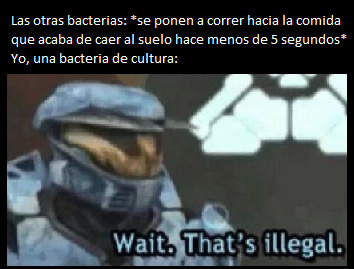 una bacteria de cultura, ¿entienden? ah olvidenlo - meme