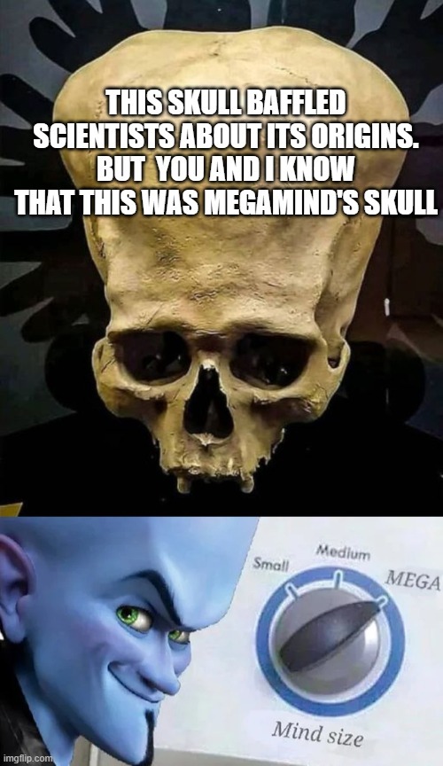 Megamind skull - meme