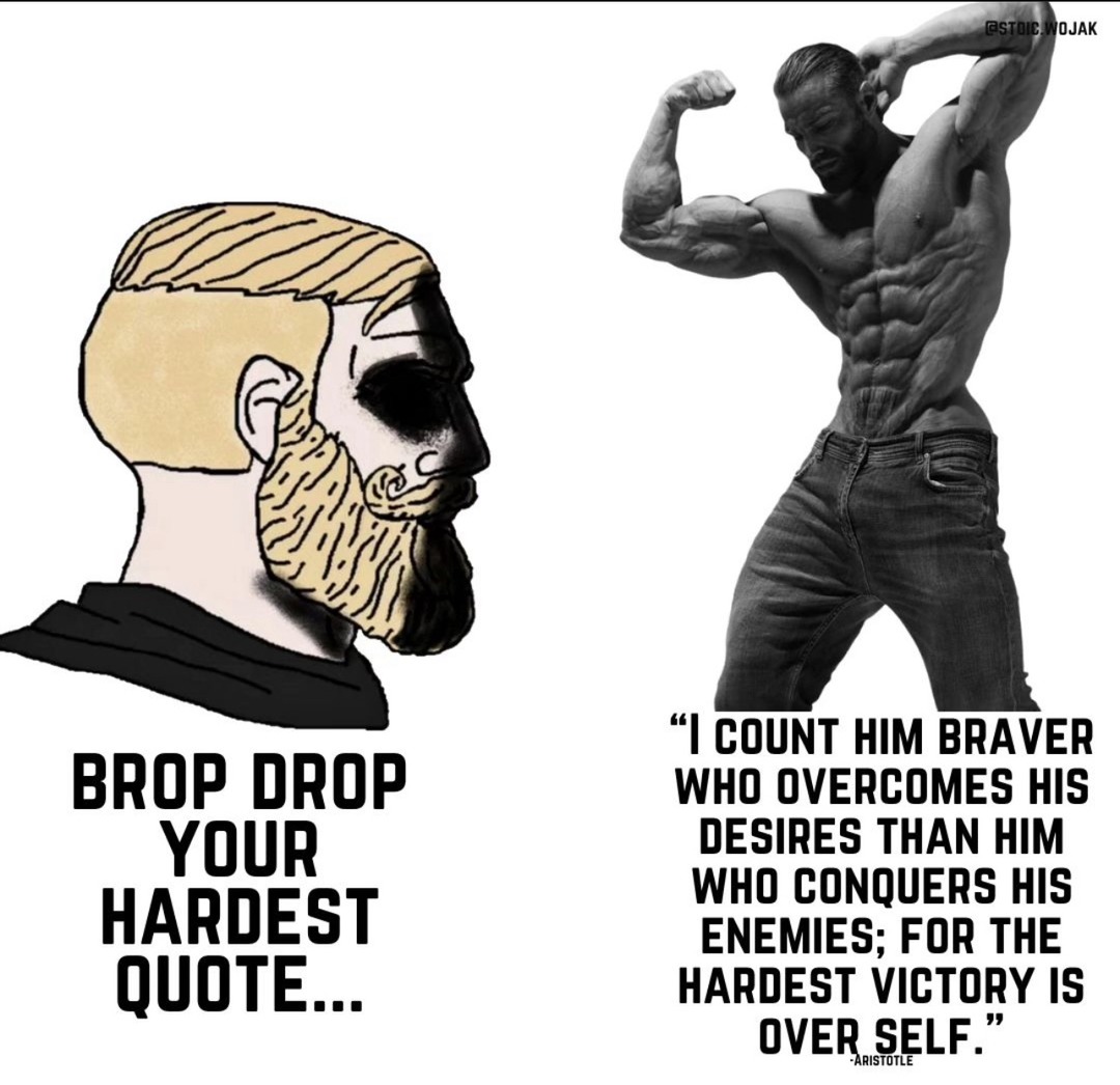 the greatest conqueror is he who overcomes himself - meme