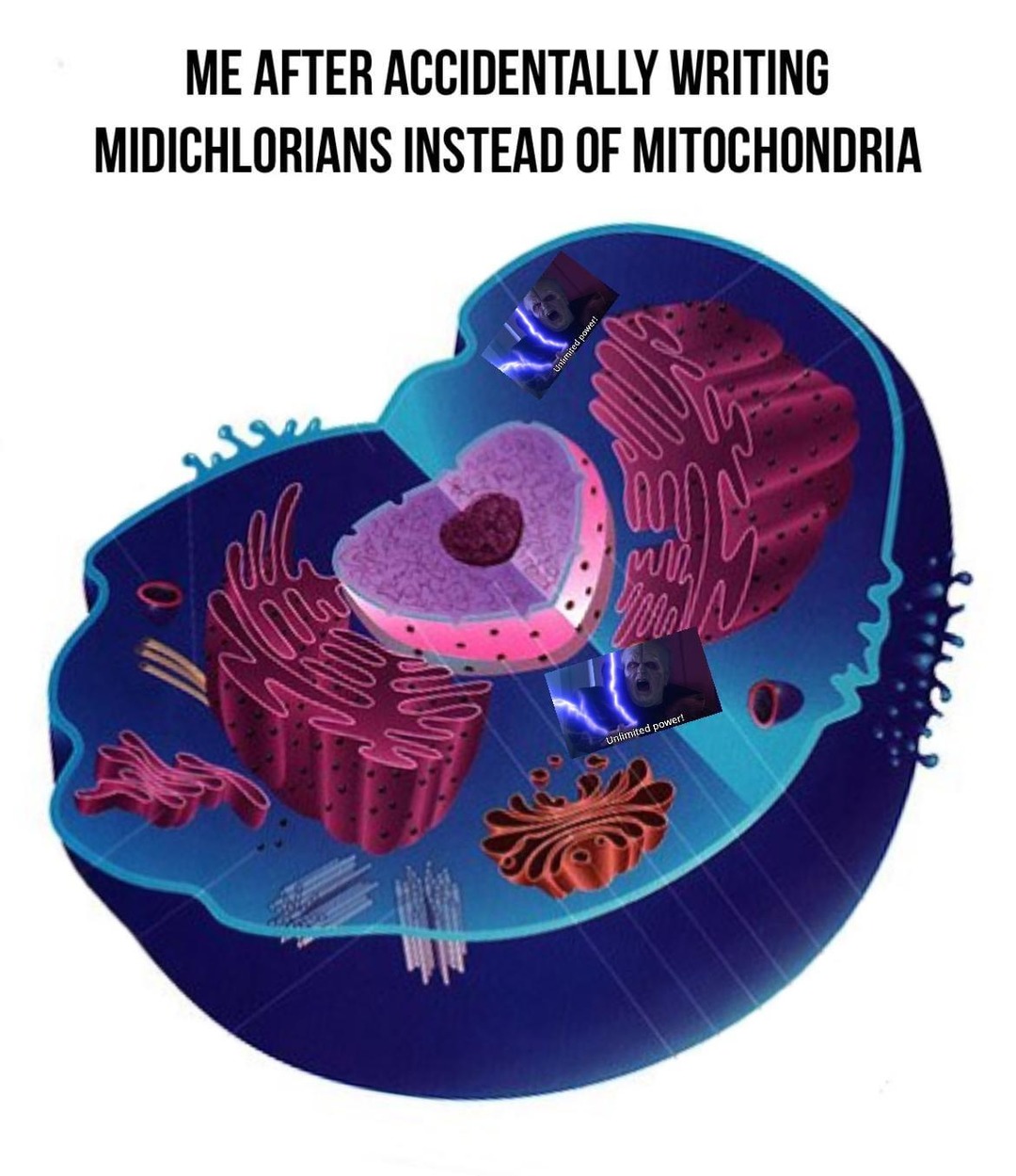 Midichlorians... wait, mitochondria - meme