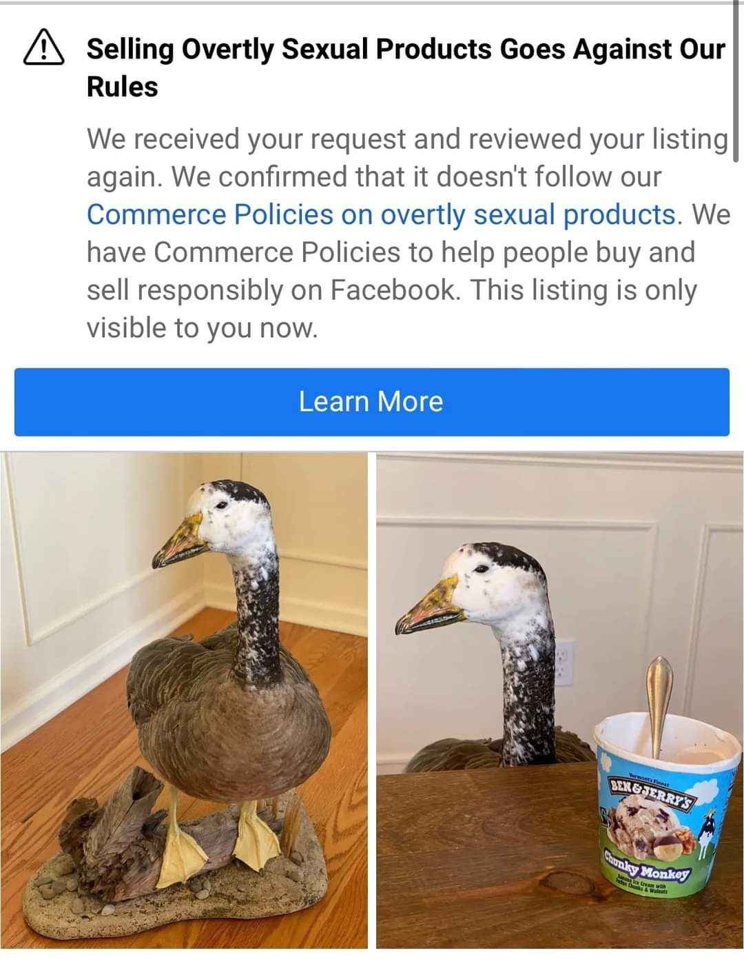 Facebook said nope to my duck - meme
