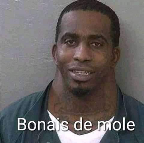 Bonais de mole - Meme by Rei_Nazi :) Memedroid