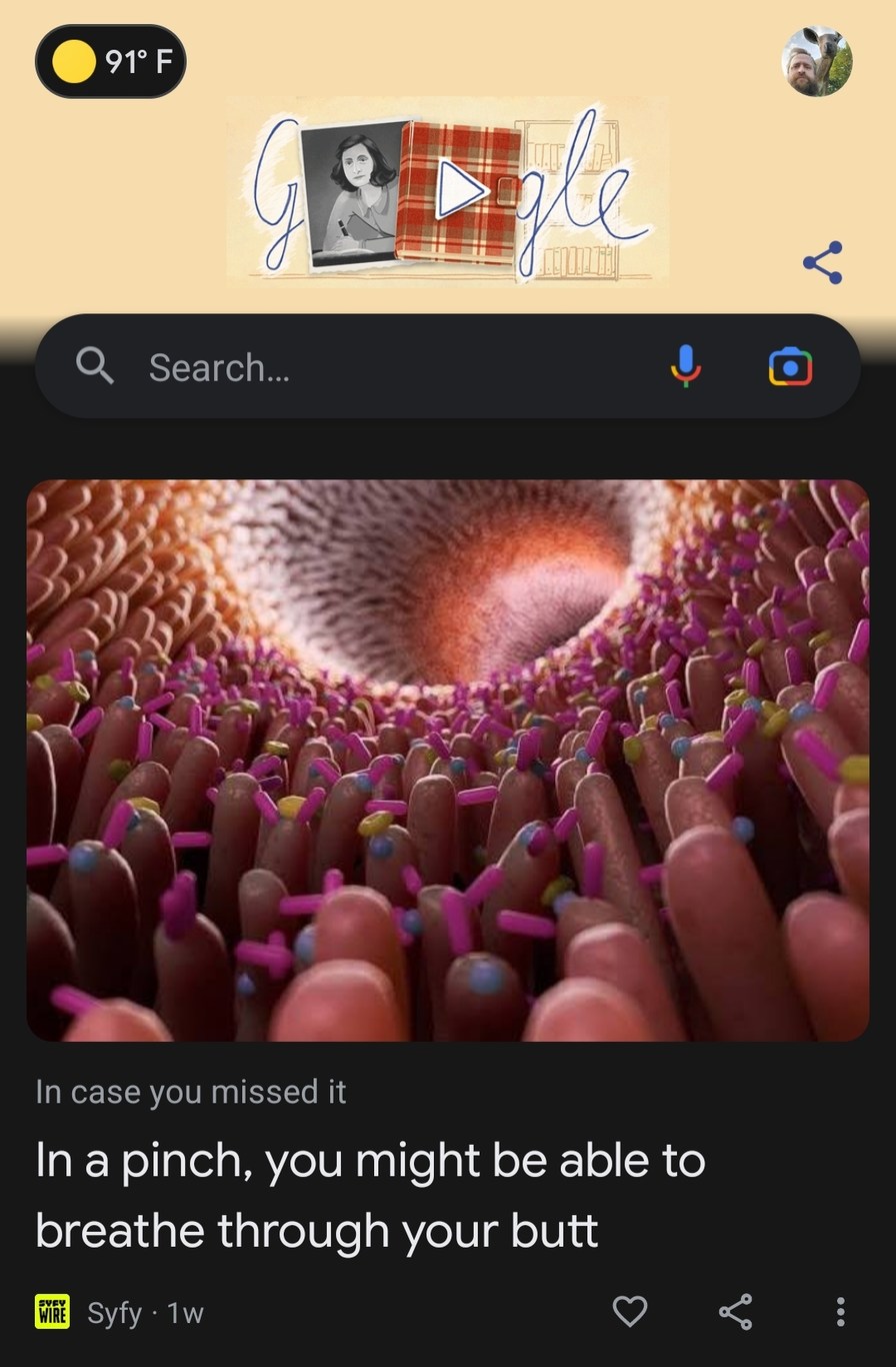 Why does Google think I can breathe through my butthole? - meme