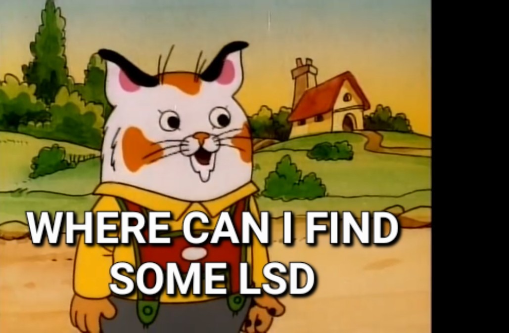 LSD cat - meme
