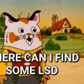 LSD cat