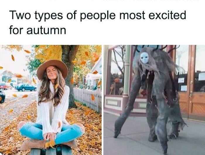 Halloween and Fall enjoyers - meme