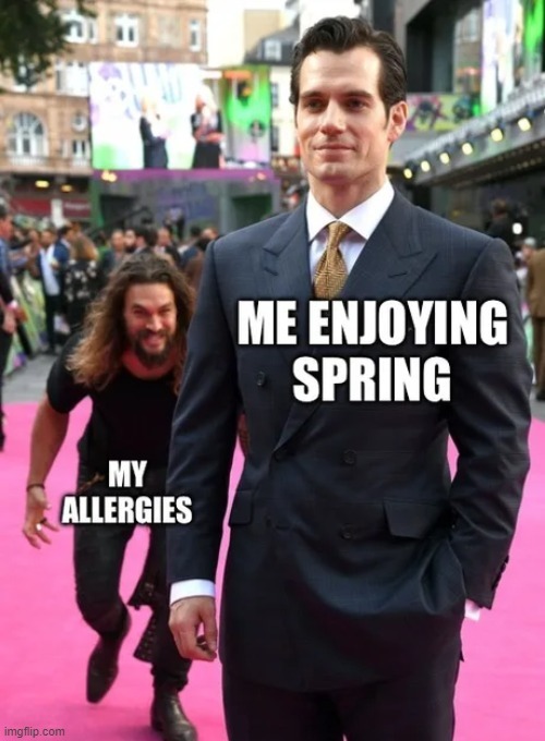 Spring allergies incoming - meme