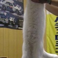 commented item thumbnail
