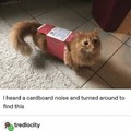commented item thumbnail