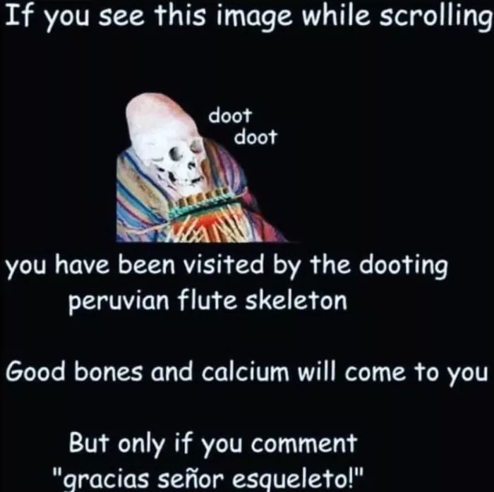 Gracias señor esqueleto - meme