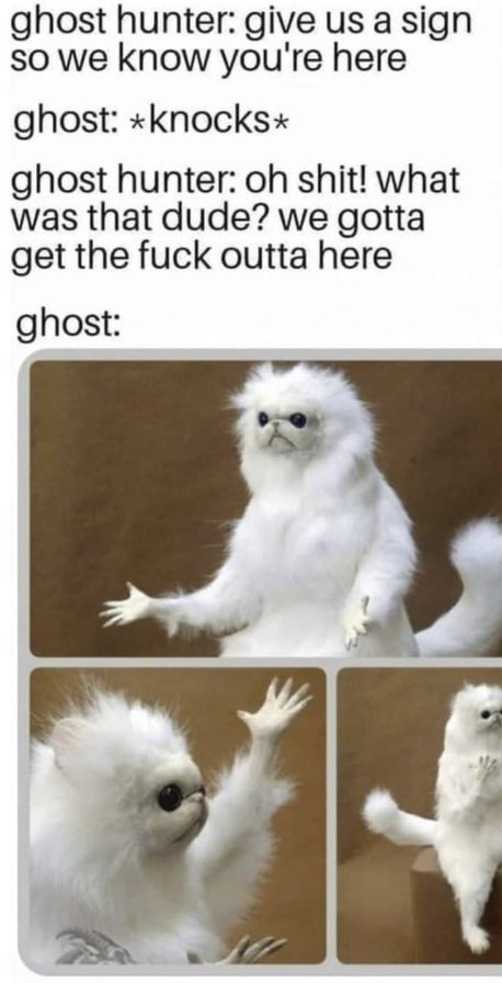 Ghost hunter - meme