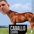 XD contexto: caballo lozoya es un candidato de un partido politico de mexico XD