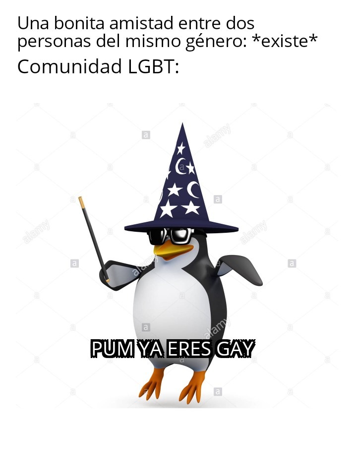 Pum ya eres gay - meme