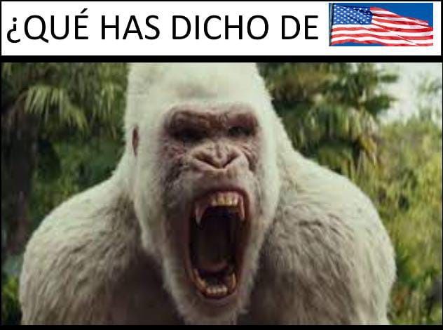 Mono estadounidense - meme