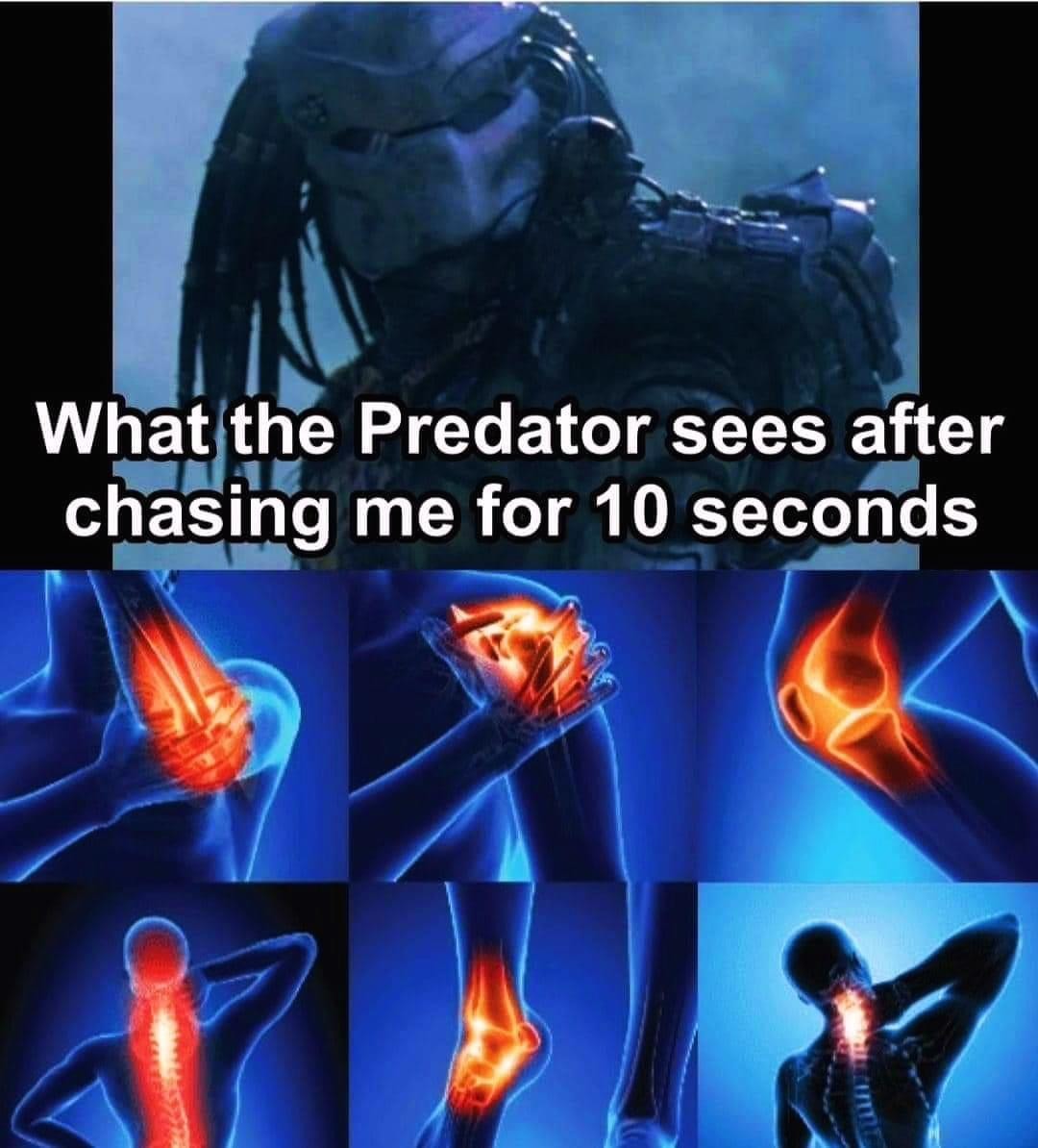 Predator - meme