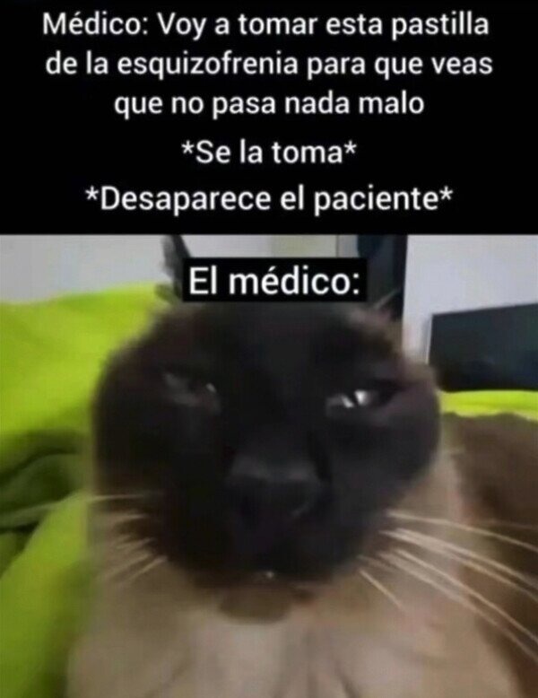 memes esquizos