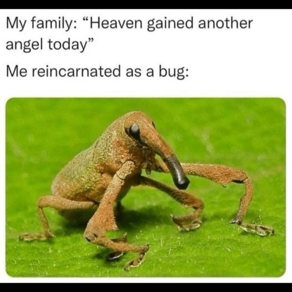 Title - meme