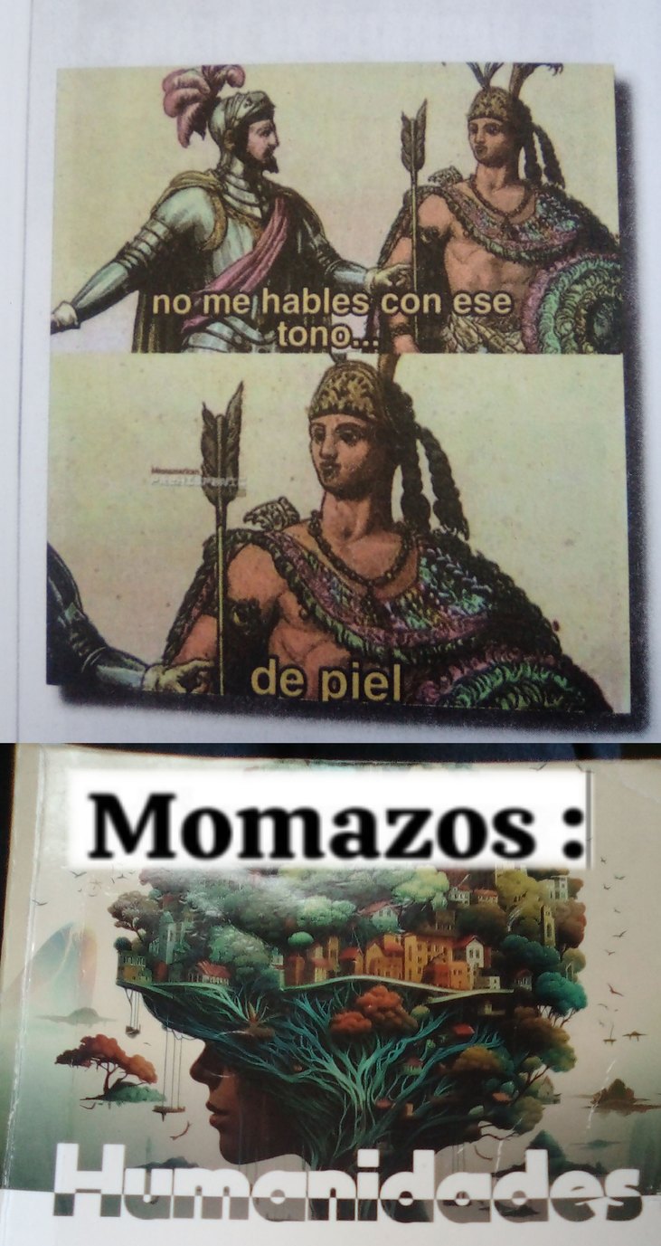 Memes de mi libro #4