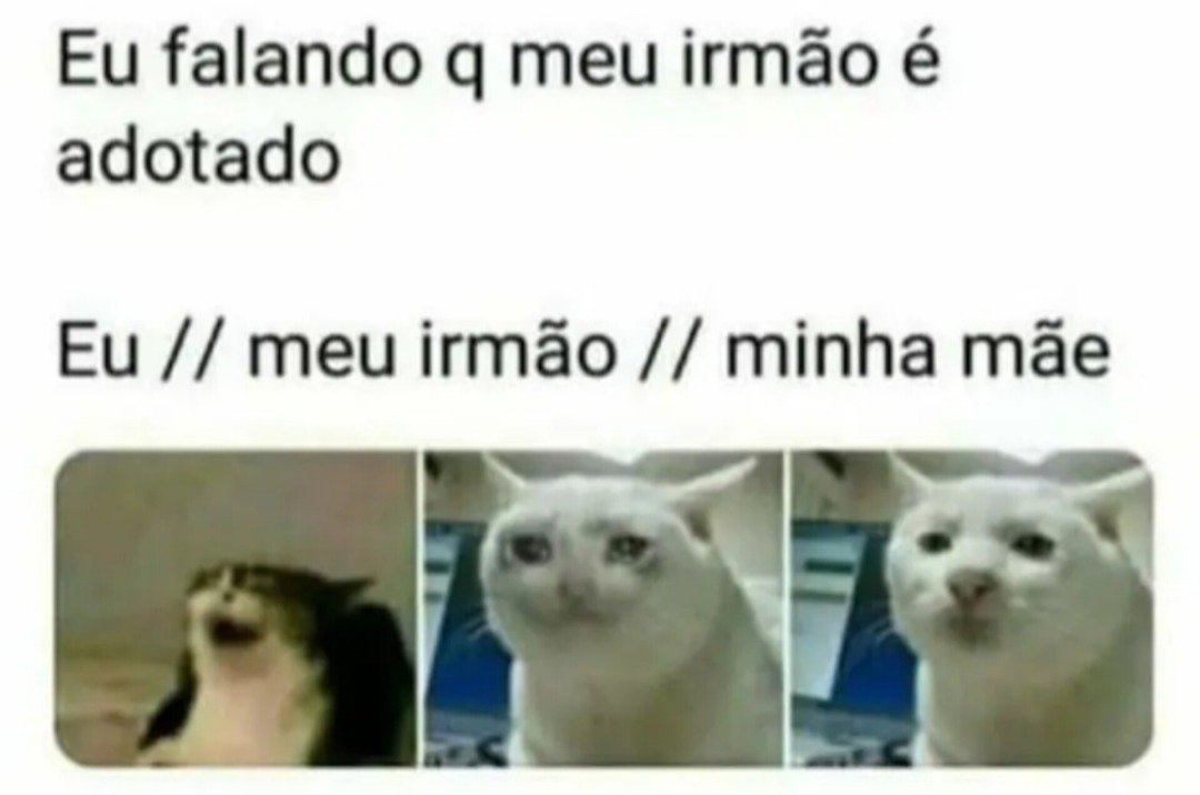 Adotado - meme