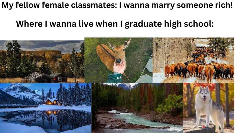 C a n a d a time - meme
