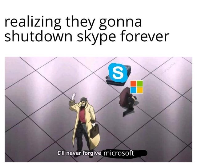 Skype shutting down and my 2010 heart can't take it - meme