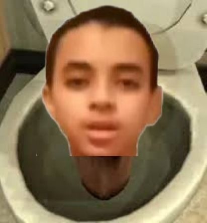 Anas Skidibi toilet - meme