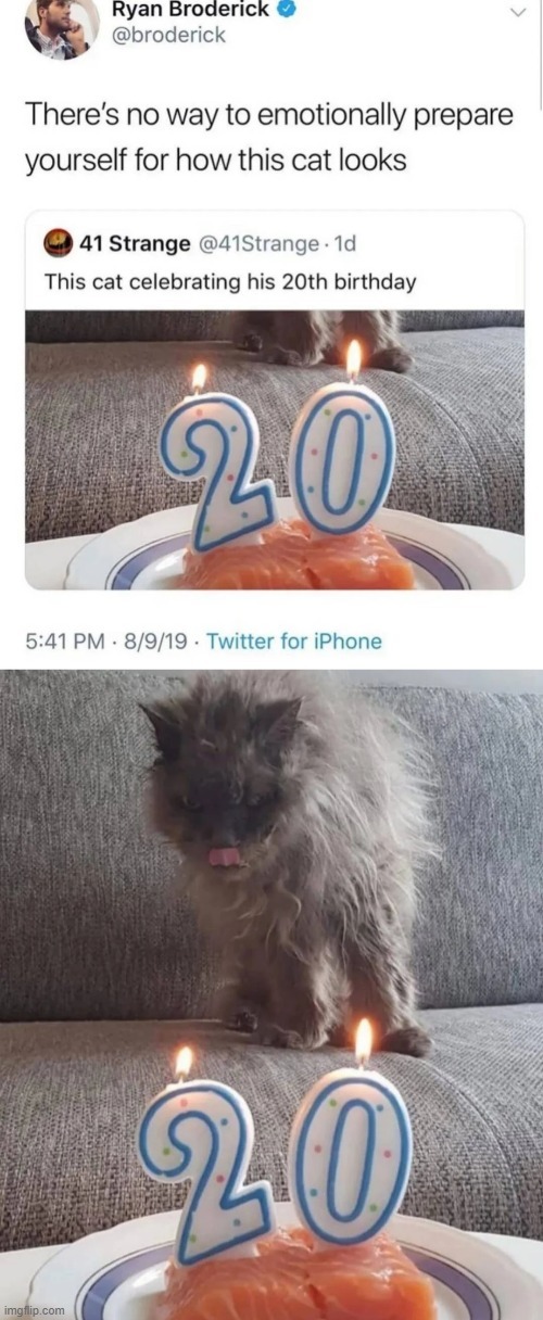 Happy 20th birthday meme