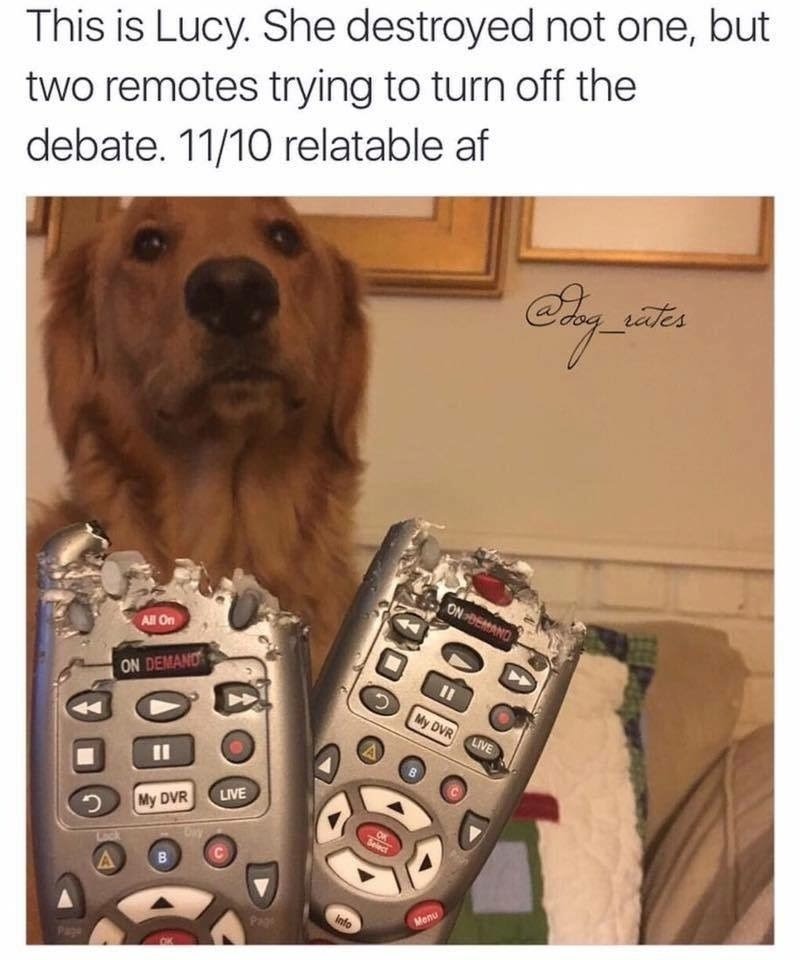 Garbage - meme