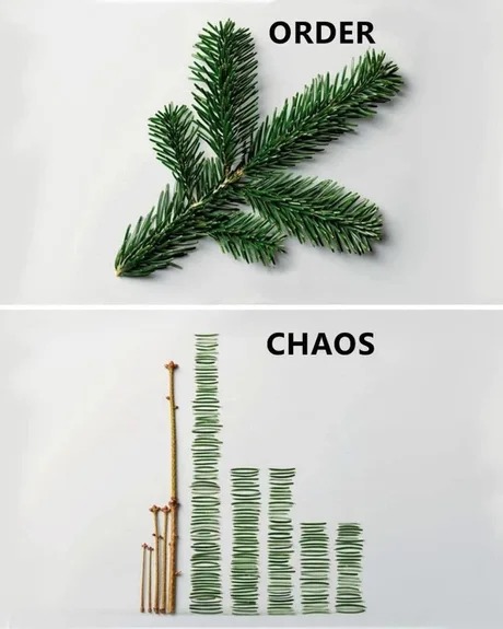 Order vs chaos - meme