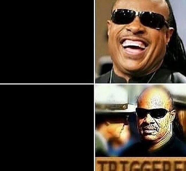 Stevie Wonder - meme