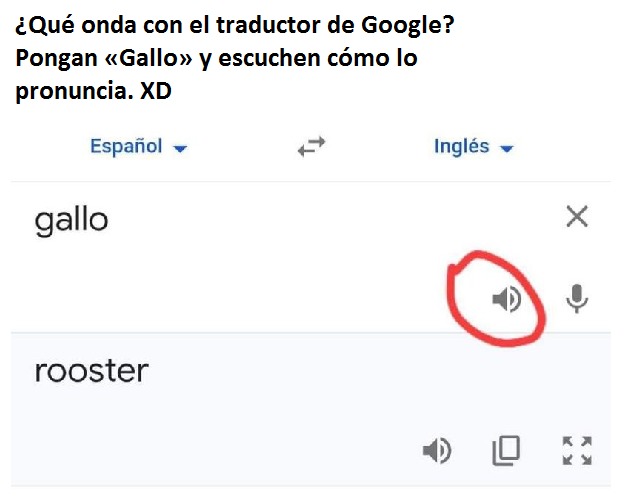 ¿Qué onda con el traductor de Google Pongan «Gallo» y escuchen cómo lo pronuncia. XD - meme
