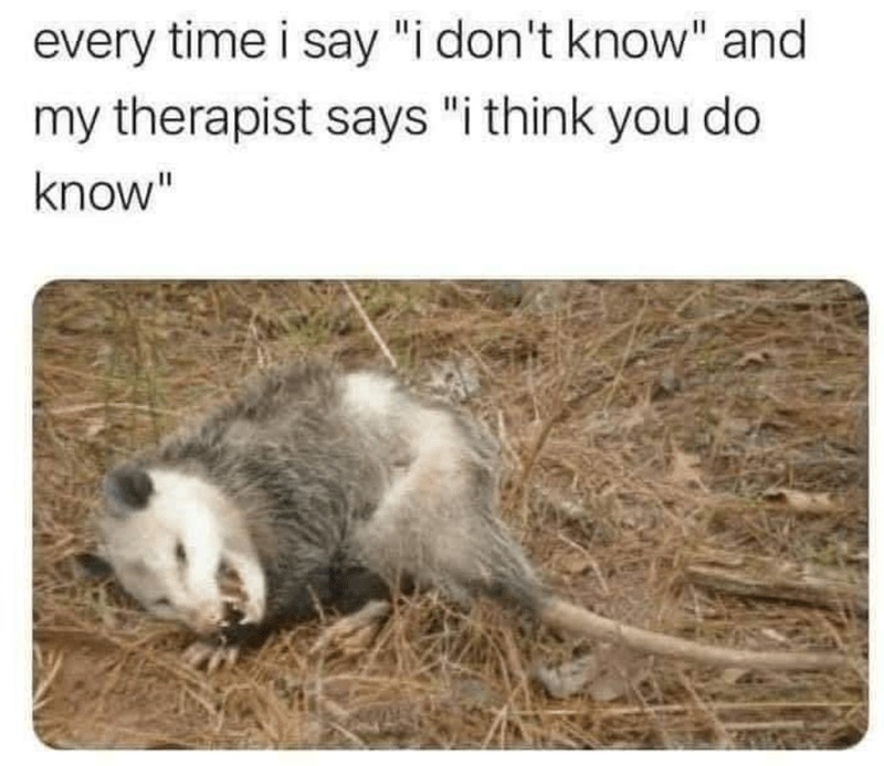 therapist u killing me - meme