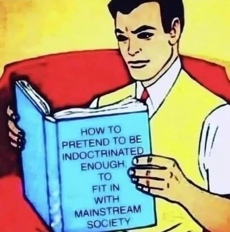 How to pretend to be indoctrinated enough - meme