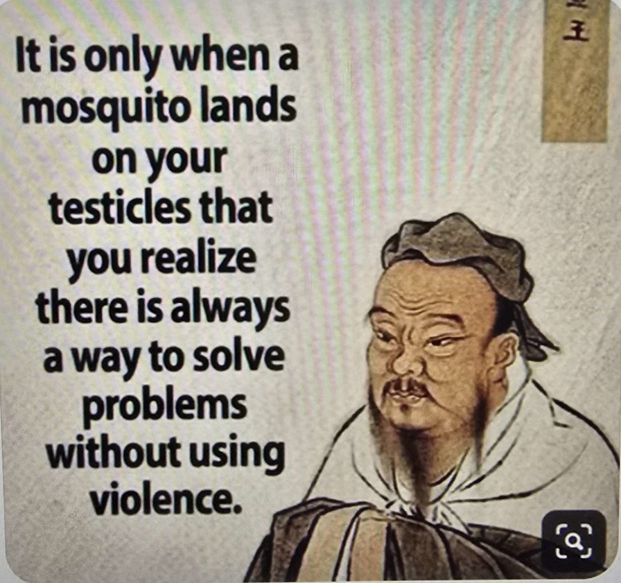Wise words - meme