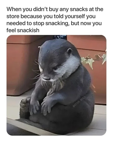 Didn't buy snacks. Now I’m snackless and sad - meme