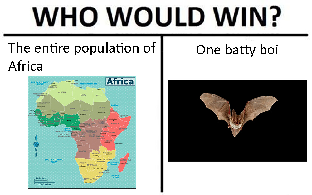 Batty boi - meme