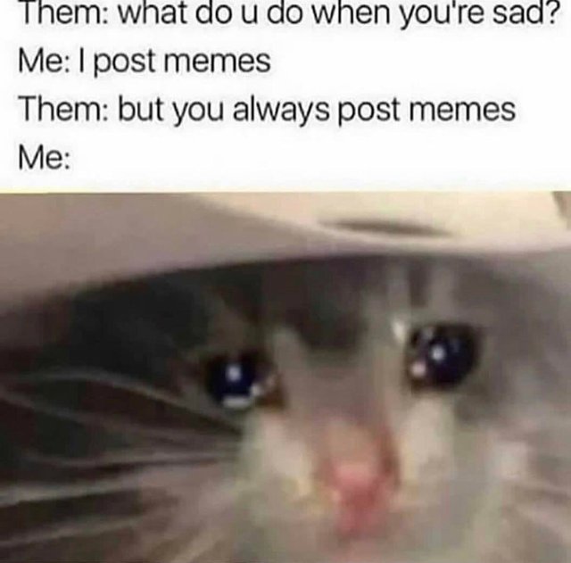 What do you do when you are sad? - meme