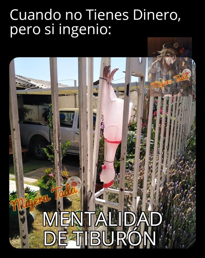 MENTALIDAD DE TIBURÓN - meme